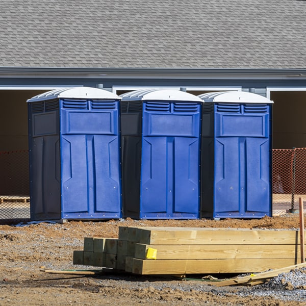 how can i report damages or issues with the porta potties during my rental period in Aguanga